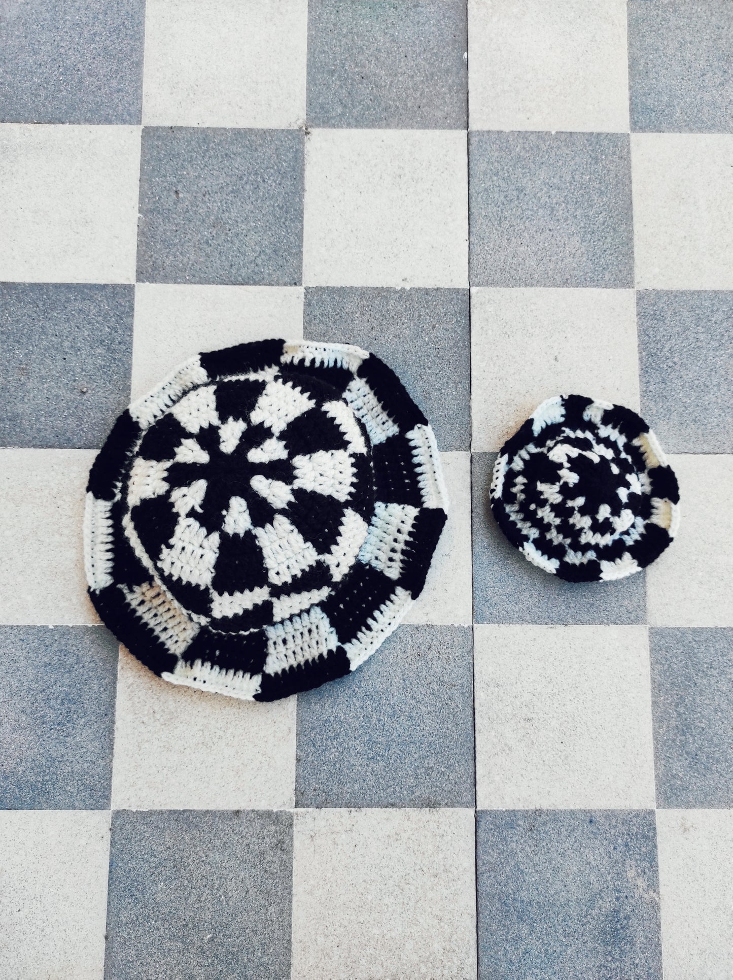 Accessoire animaux de compagnie