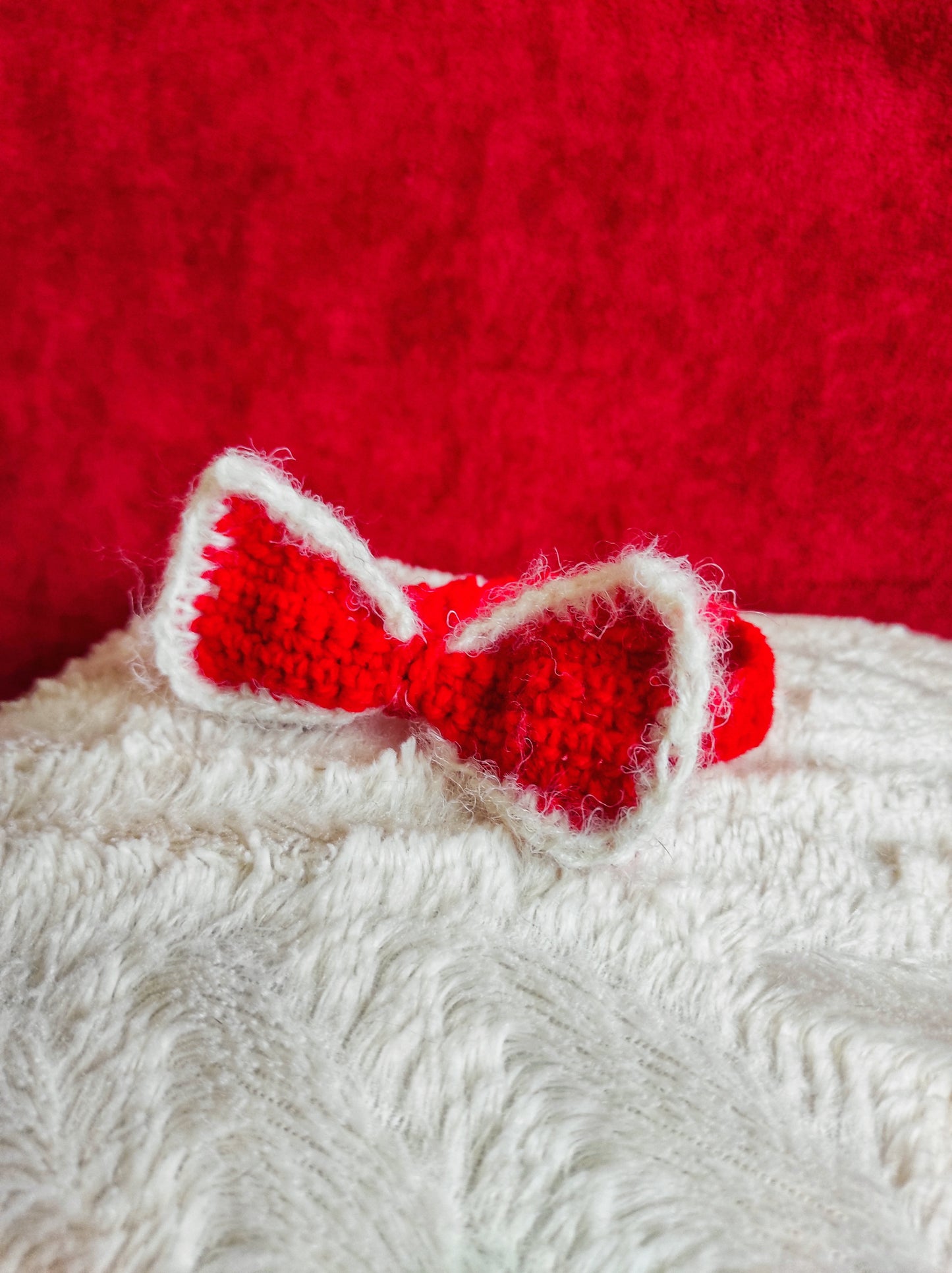 Accessoires chats chiens